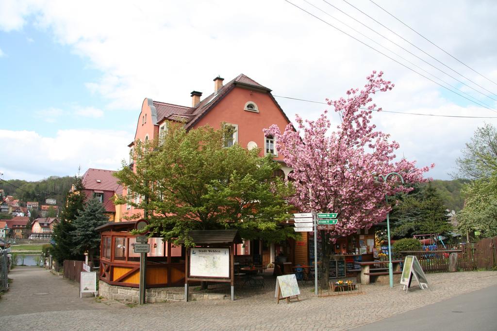 Ferienwohnungen Langer Stadt Wehlen Exterior photo